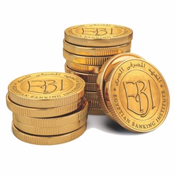 Ebi Training By Egyptian Banking Institute