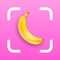 NannerScanner pour PC