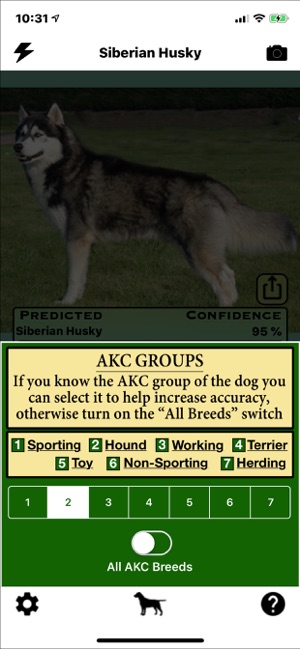 Dog Breed Identifier(圖6)-速報App