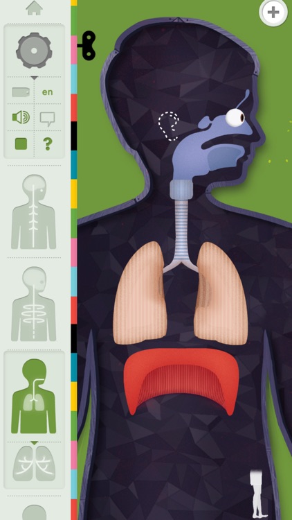 The Human Body by Tinybop screenshot-4