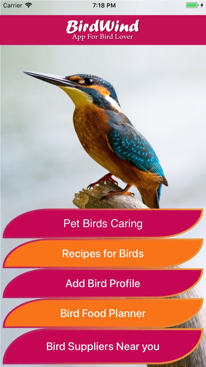 BirdWind: App for Bird Lovers