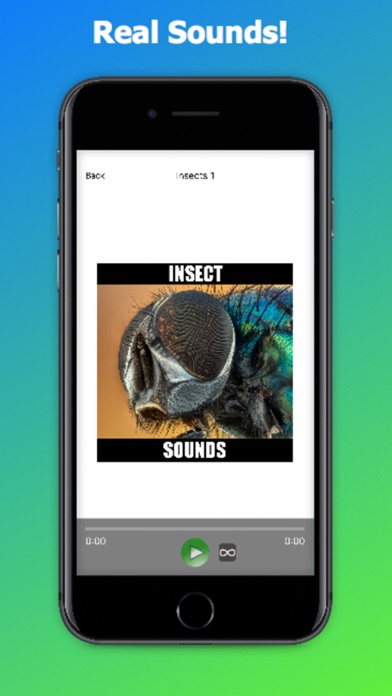 Insect Sounds screenshot 3