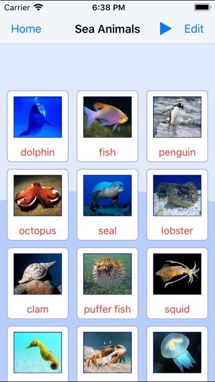 Sea Animals. Learning Cards