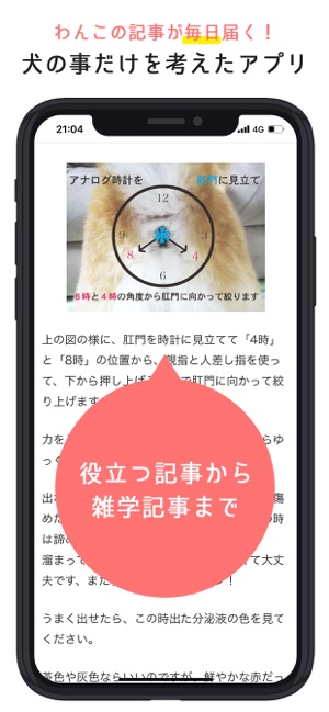 犬のニュースや飼い方の情報をまとめ読み わんちゃんホンポ Su App Store