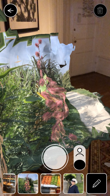 Face My Space: AR Photo FX