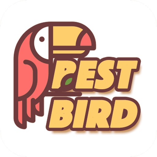 Best Bird-fly