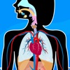 Anatomix - Human Body Game - iPhoneアプリ
