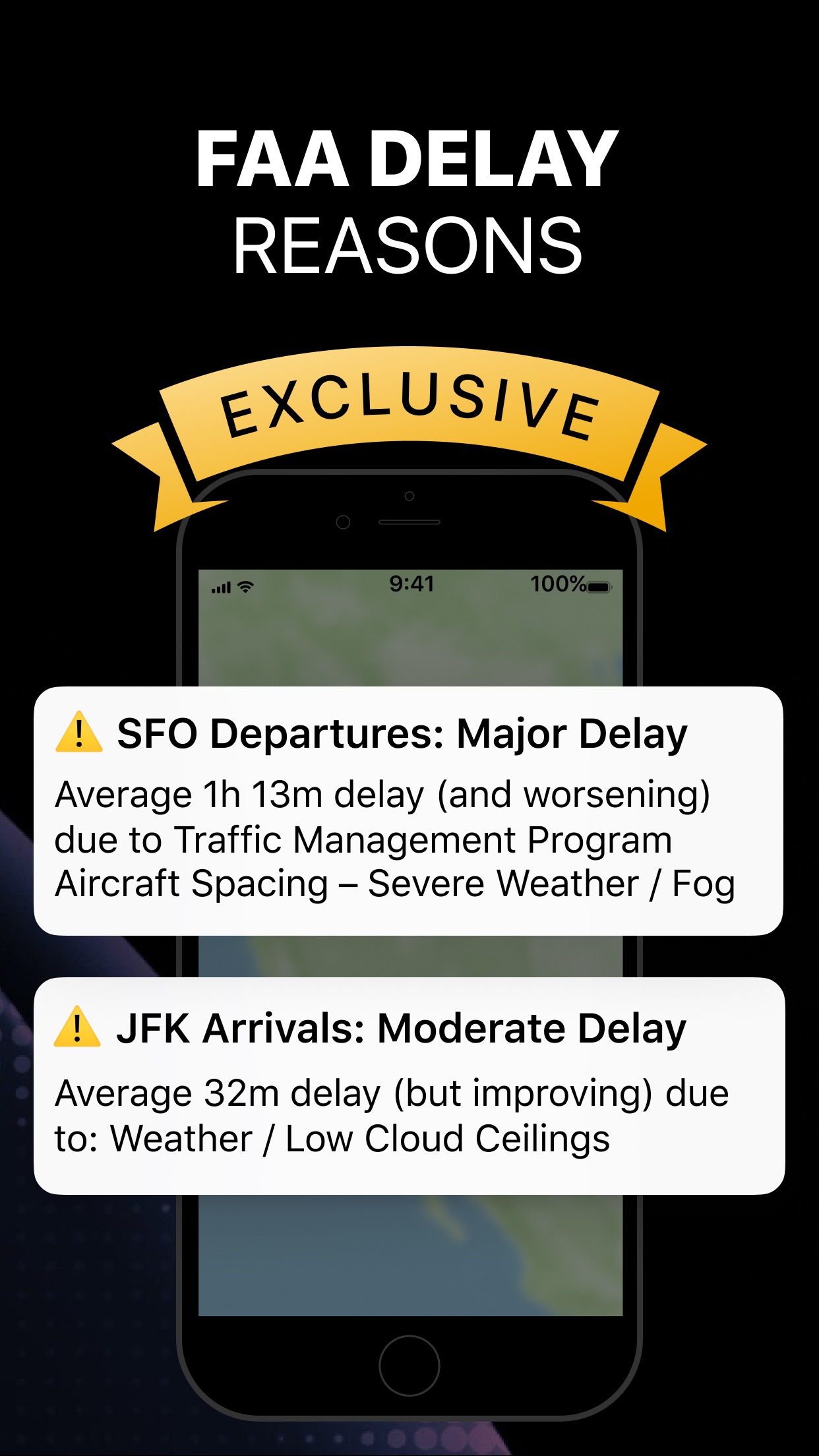 Screenshot do app Flighty - Live Flight Tracker