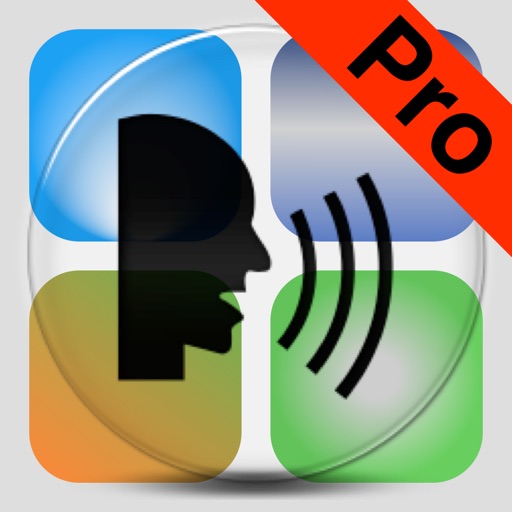 Dictate Pro - Speech to text
