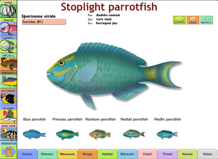 Marine Fishes Id Guide
