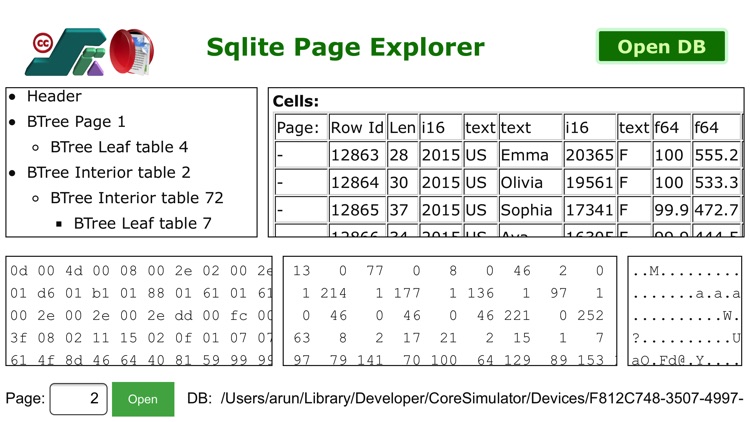 Sqlite Page Explorer