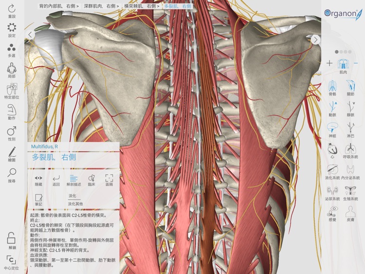 3D Organon Anatomy Enterprise screenshot-8