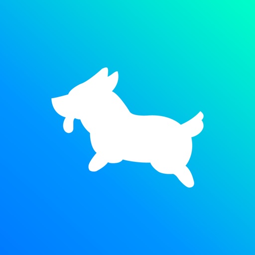 Fetch - Discover Cute Dogs