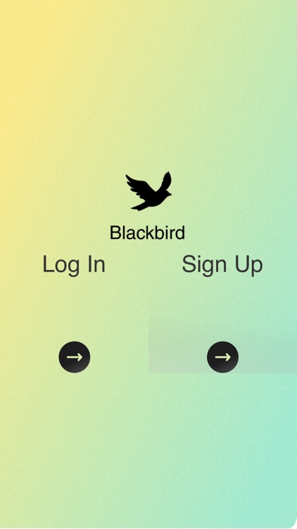 BlackBird - Creative Ecosystem