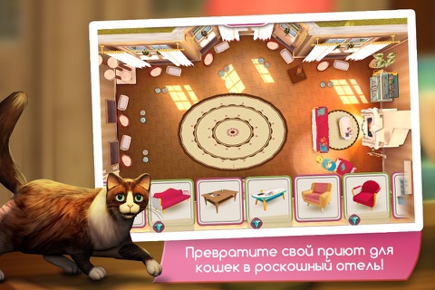 Скриншот из CatHotel - Care for cute cats