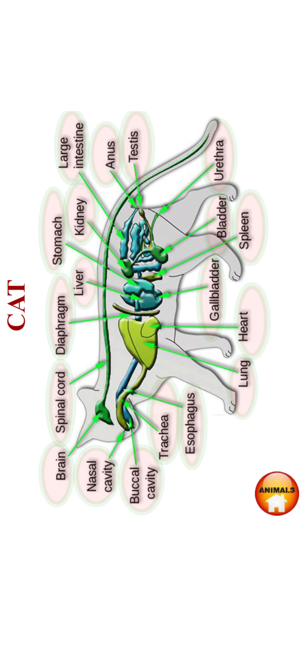 ANATOMY 3D Pro(圖5)-速報App