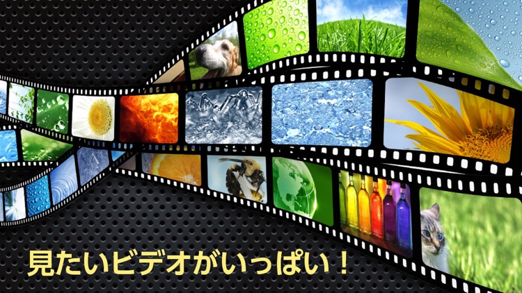 ひかりTVどこでも screenshot-4