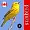 Identify birds of Canada by their songs and calls