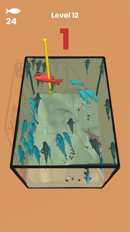 Catch Fish 3D