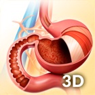 Top 29 Medical Apps Like My Stomach Anatomy - Best Alternatives