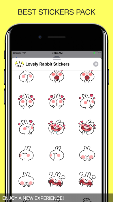 Lovely Rabbit Stickers Pro screenshot 3