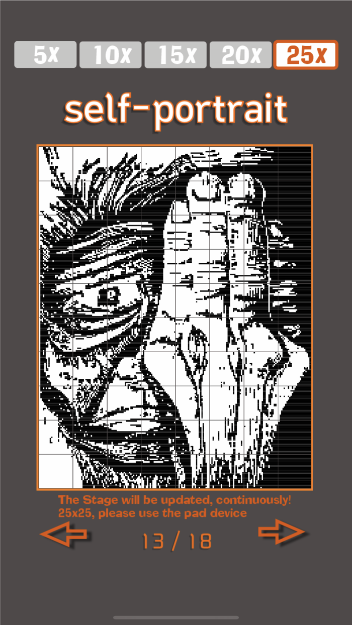 No.12 그림 네모네모노노그램,피크로스