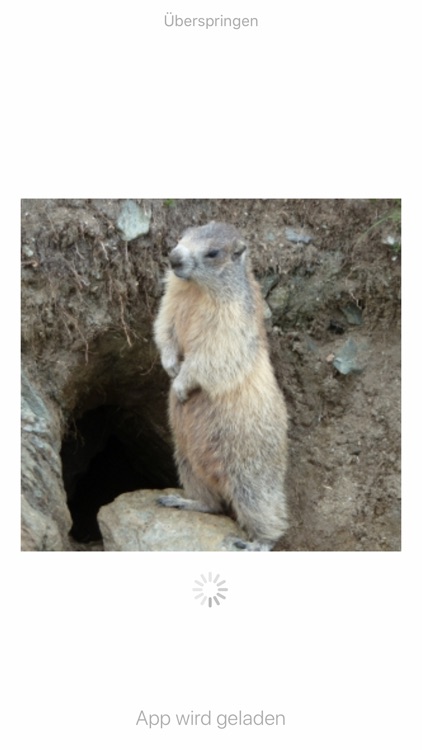 Tierwelt des Alpenraums