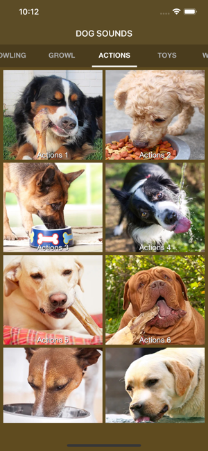 Dog Sounds - Collection(圖5)-速報App