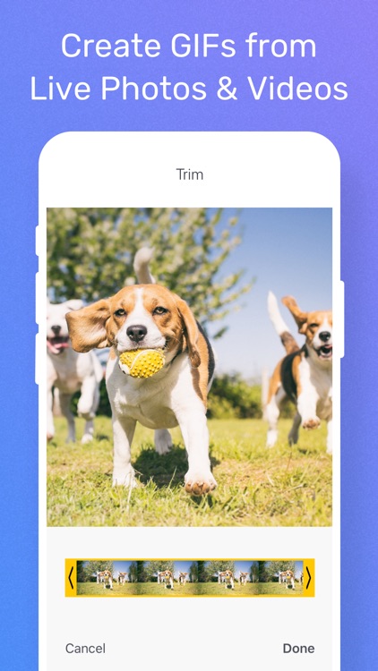 GIF Maker by Momento