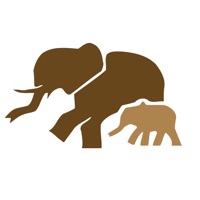 African Safariguide pour PC