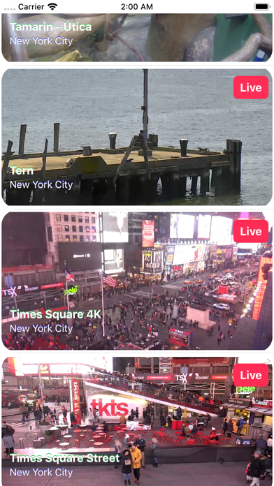 Live Cam New York screenshot 3