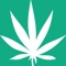 This app can identify your marijuana strains using state-of-the-art Artificial Intelligence Algorithms that specialize in pattern recognition through large datasets