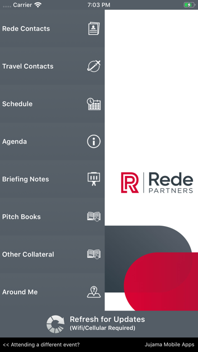 Rede Partners screenshot 4