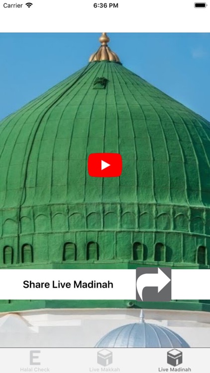 Halal Check E-Numbers screenshot-3