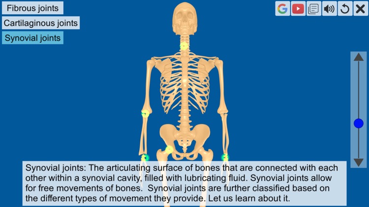 Joints: The Human Levers