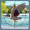 Duck Hunting app offers awesome duck hunting game all at your fingertips