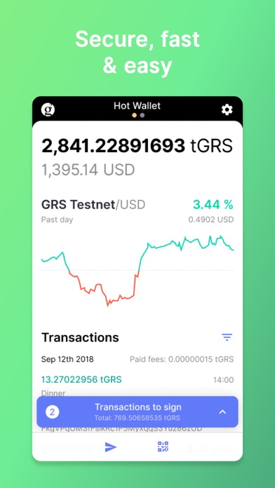 GRS Testnet Wallet for COINiD screenshot 3