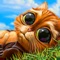 Solve the great match-3 puzzle with Indy Cat and help him get back the magical Ball of Fate