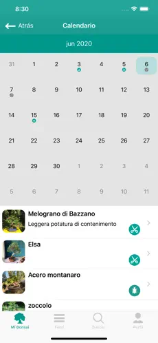 Captura 10 BonsaiDo iphone