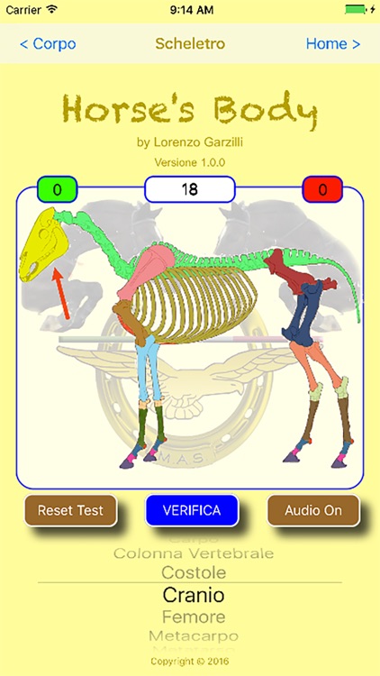 HorseBody screenshot-4