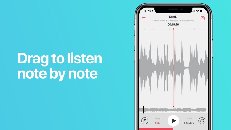 Transcribe+ Slow Down Music screenshot-4