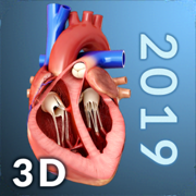 My Heart Anatomy