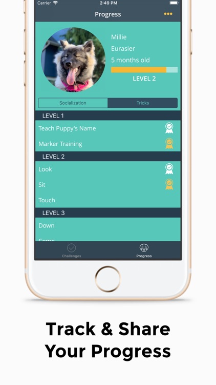 Social Puppy: Dog Training App screenshot-3