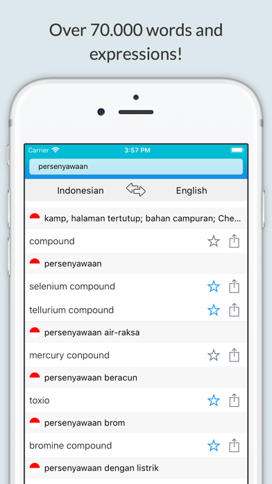 English Indonesian Dictionary+ screenshot 3