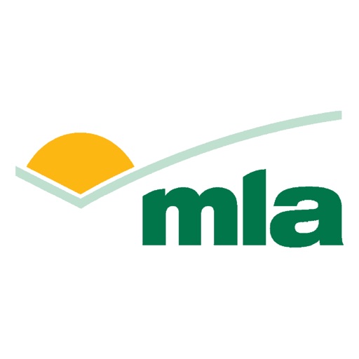 MLA VR