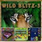 Wild Blitz 3 is collection of three different brain games that can be played wildly surrounding animals & forests