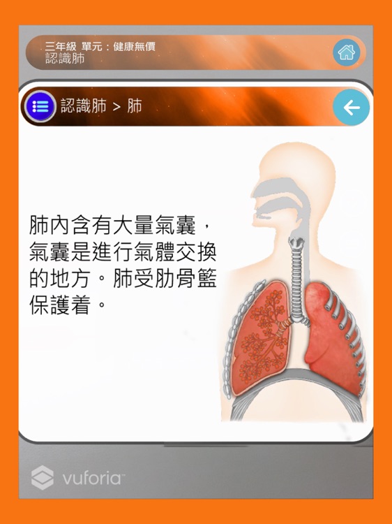 AR 擴增實境模型