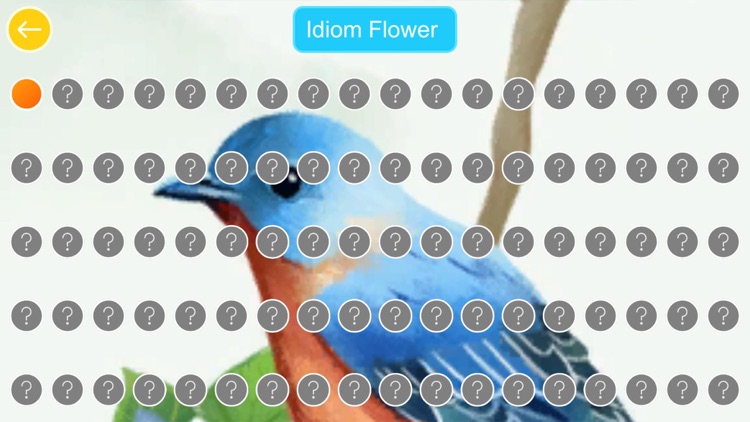 Chinese Idiom Flower HD