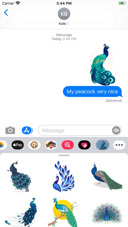 Beautiful Peacock Stickers