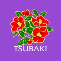 ビデオ通話アプリ TSUBAKI apk